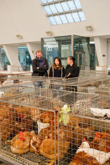 The Only Fish Market Tasting Tour, Sea to Table - Visiting a 1920s Canned Fish Factory in Porto