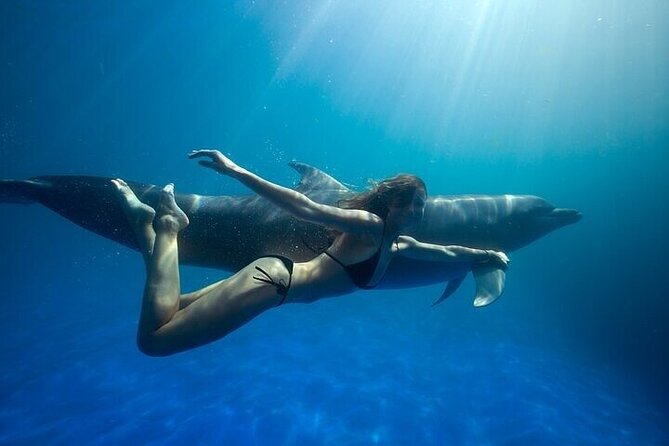 The only Natural Space Dolphin Encounter in Cabo Optional Pickup! - Exciting Dolphin Encounters in Cabo San Lucas at an Affordable Price