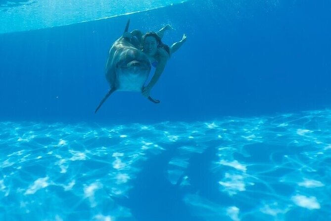 The only Natural Space Dolphin Encounter in Cabo Optional Pickup! - Safety and Equipment for a Confident Experience