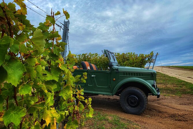 The only Wine Cocktail Club in Tokaj, Lunch & Fun, Hungary - Fun Activities: Darts and Quiz Show in the Club