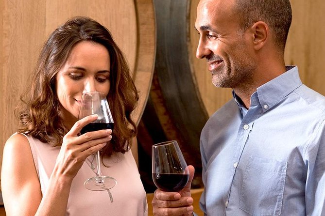 The Original Syrah Wine Tour (2:00 pm - 6:30 pm) - Small Group Tour from Lyon - Explore the Rhone Valley on the Syrah Wine Tour from Lyon