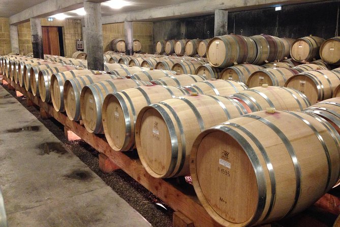 The Original Syrah Wine Tour (2:00 pm - 6:30 pm) - Small Group Tour from Lyon - Second Winery Tour and Barrel Aging Secrets at Malleval