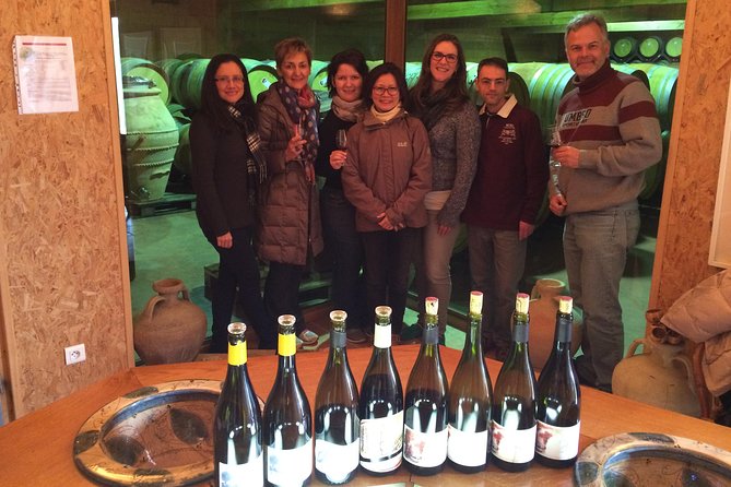 The Original Syrah Wine Tour (9:00 am - 1:30 pm) - Small Group Tours from Lyon - The Role of Expert Guidance and Local Knowledge