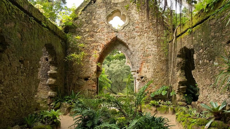 The Other Side of Sintra - Forgotten Woods Tour - Discovering Sintra’s Hidden Corners Away from Crowds