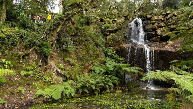 The Other Side of Sintra - Forgotten Woods Tour - Practicalities of the Tour: Transport, Pacing, and Group Experience