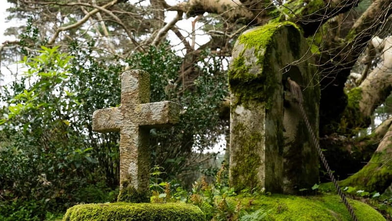 The Other Side of Sintra - Forgotten Woods Tour - What Sets This Tour Apart from Typical Sintra Trips