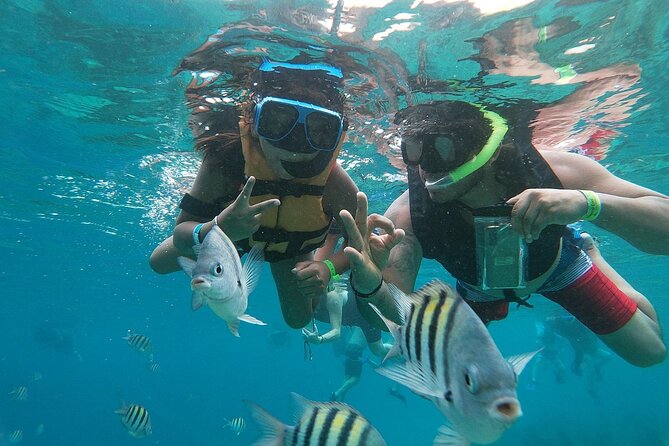 The Perfect Day in Chankanaab Park Cozumel - The Tour Starts at Cozumel Fun Excursions in the Royal Village Shopping Center