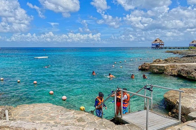 The Perfect Day in Chankanaab Park Cozumel - The Role of Guides and Overall Experience