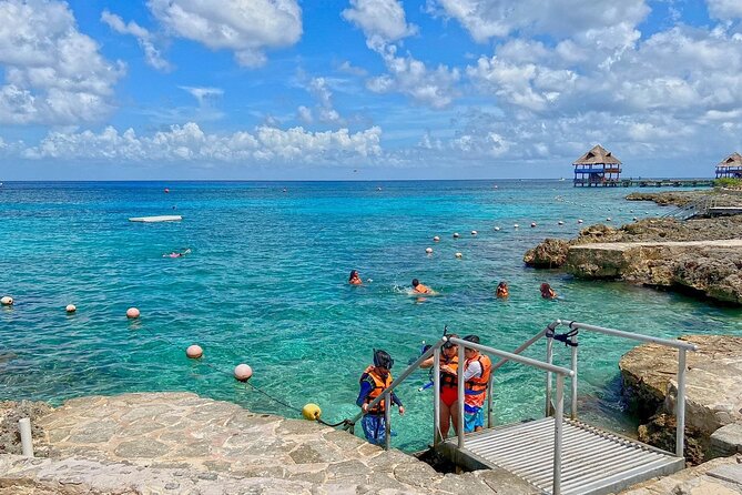 The Perfect Day in Chankanaab Park Cozumel - Who Will Enjoy This Tour Most