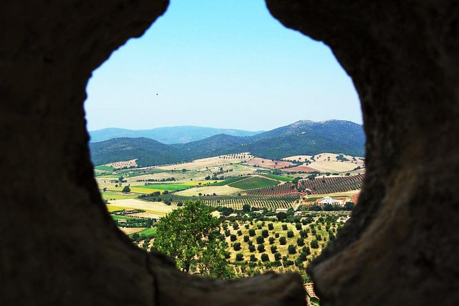 The place of dreams: the Tarot Garden w/Wine tasting - The Experience Provider and Booking Details