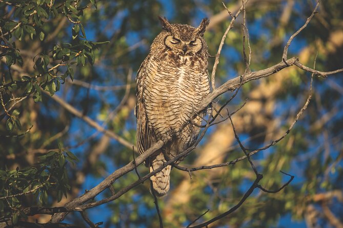 The Premier Wildlife Tours in Rocky Mountain National Park - Why This Tour Stands Out