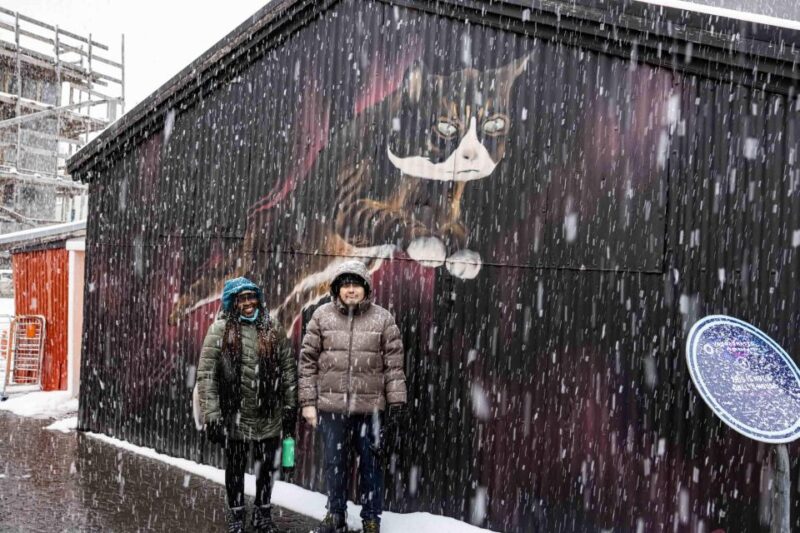 The Private Reykjavik CatWalk - Summary: Who Will Enjoy This Tour Most