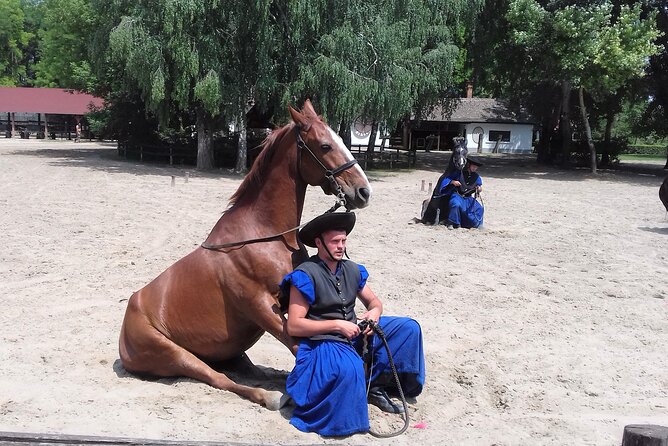 The "Puszta" Horse Show - Discover the Charm of the Hungarian Countryside with the Puszta Horse Show