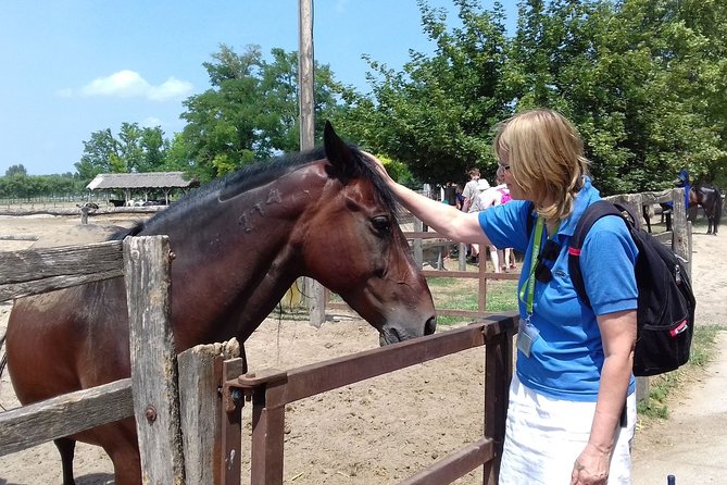 The "Puszta" Horse Show - The Horse Show: Entertainment at Local Stables