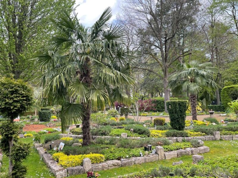 The rather unknown Melaten - Discover the Hidden Sides of Melaten Cemetery in Cologne