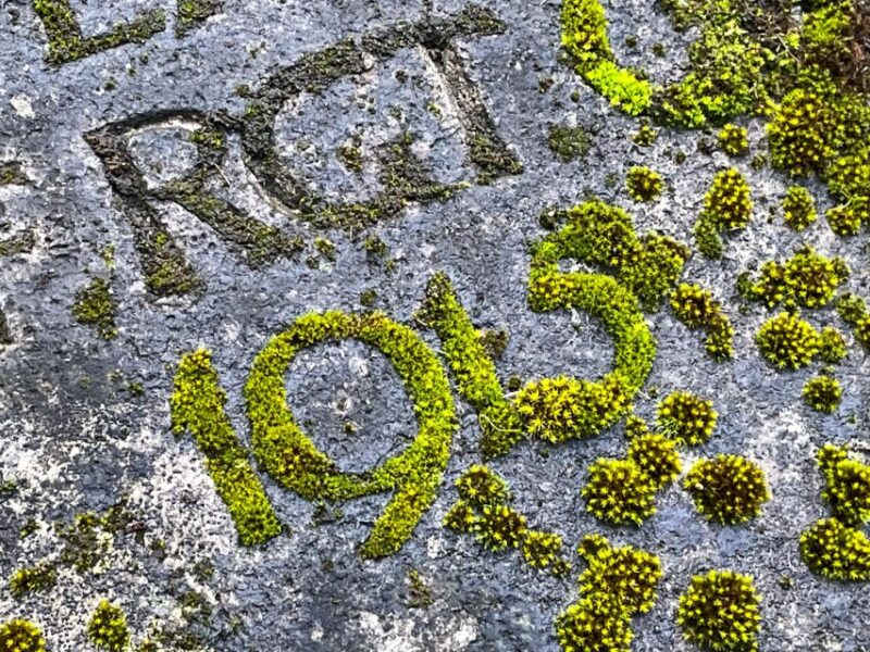 The rather unknown Melaten - Exploring the Lesser-Known Parts of Melaten