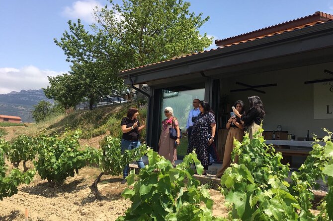 The Real Rioja Explore Tour - Private experience - Visiting a Family-Run Winery in Villabuena de Alava