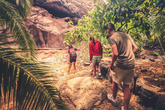 The Red Canyon Tour - Small Group Trip with Local Food Tasting - Physical Requirements and Accessibility