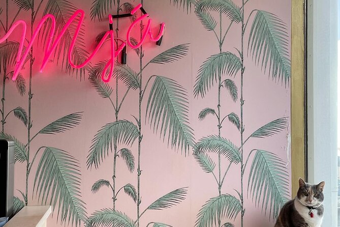 The Reykjavik Cat Walking Tour - Relaxing at Kattakaffhúsið: The Cozy Cat Café