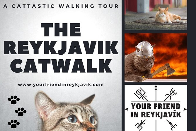 The Reykjavik Cat Walking Tour - Visiting the Einar Jónsson Sculpture Museum
