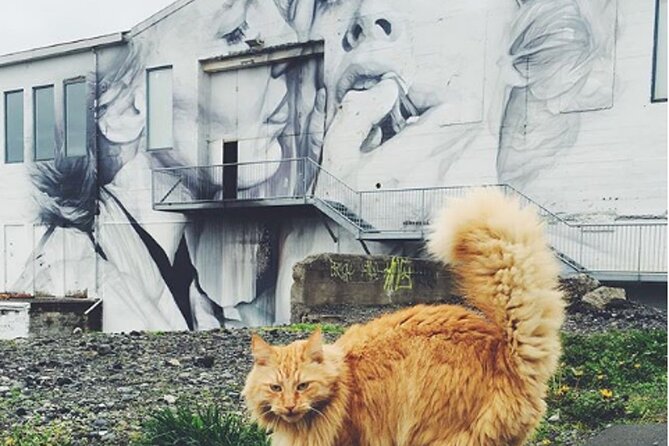 The Reykjavik Cat Walking Tour - Practical Details and Logistics