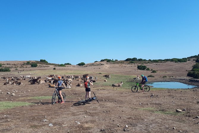 The ring of Mountain Tuttavista with Electric Mountain Bikes - Starting Point and Schedule