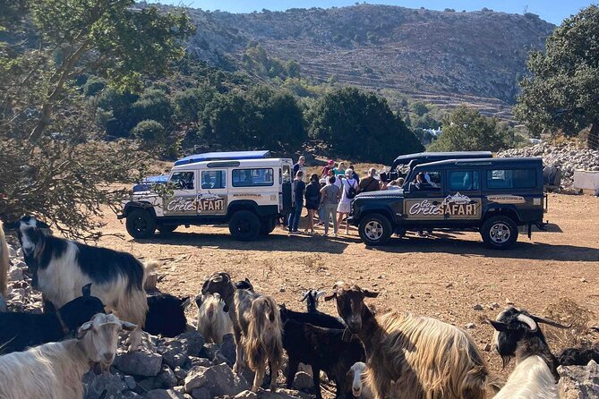 The Roads Of Wine Olive Oil And Cretan Tradition in Malia - Key Points