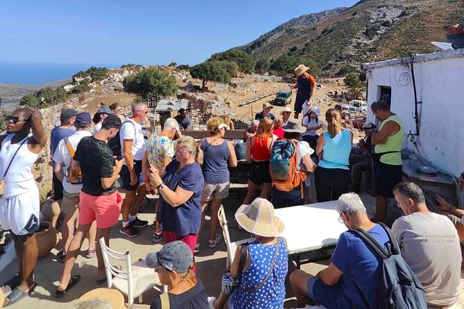 The Roads Of Wine Olive Oil And Cretan Tradition in Malia - Exploring Cretan Olive Oil Production