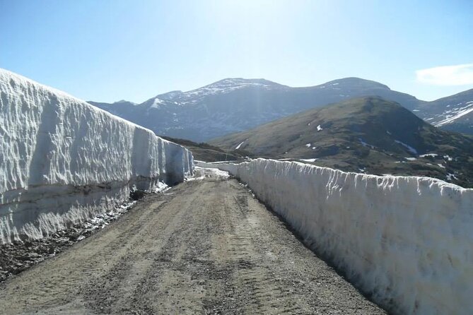 The Rocky Mountain National Park Winter Safari Tour - Exploring Rocky Mountain National Park in Winter