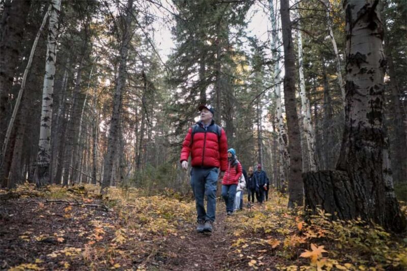 The Sacred Mountains Of Banff And Canmore Walking Tour - The Unique Geology of the Canadian Rockies