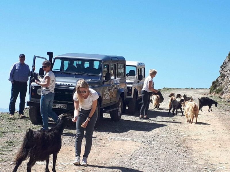 The Secrets Of The Southern Crete Safari tour - Reaching Kavoussi for Unmatched Panoramic Views and Wildlife Sightings