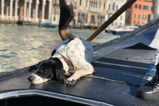 The Secrets of Venice - Exploring the Rialto Market