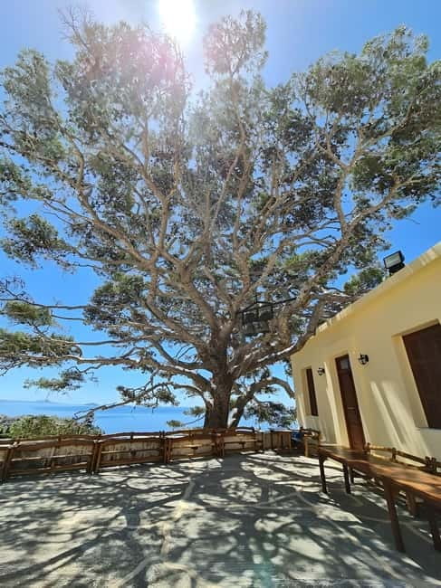 The selective food tour Feel like local from Heraklion - Discovering Olive Oil Production at a Local Olive Mill