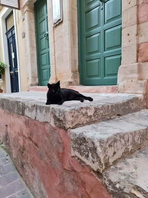 The selective food tour Feel like local from Heraklion - Exploring a Cheese Factory and Tasting Regional Cheeses