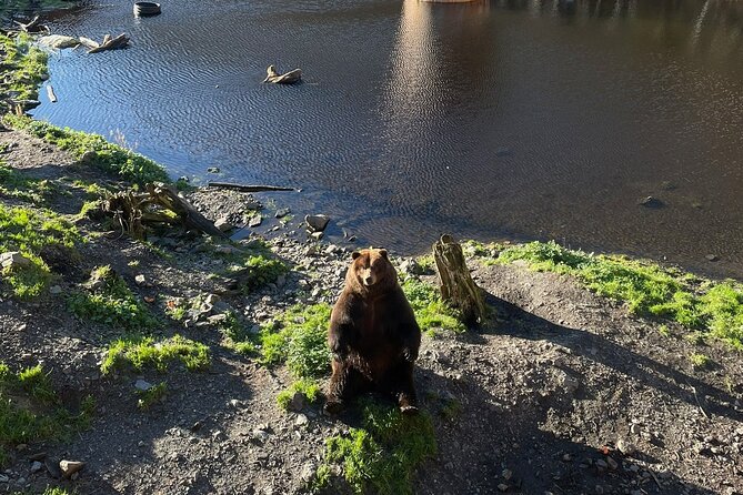 The Sikta Scenic Photography Tour | SITKA SIGHTSEEING - Key Points