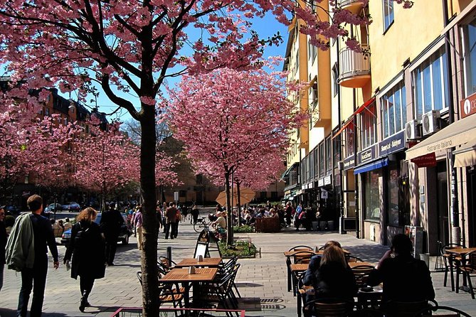 The Södermalm Tour in Stockholm - Key Points
