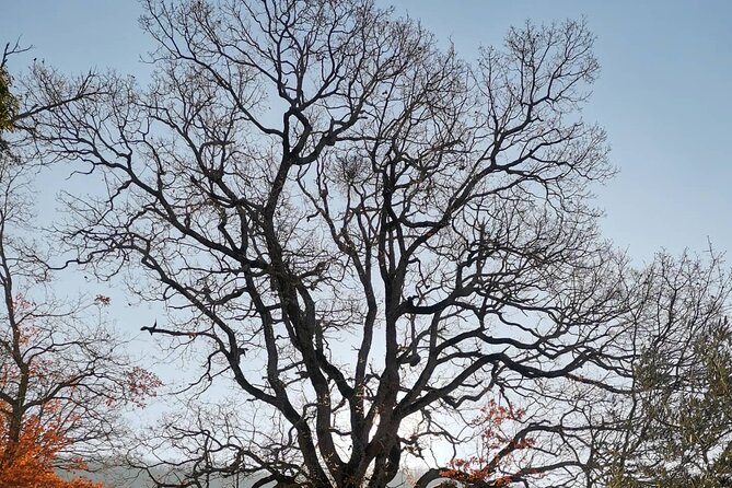 The spell of Lake Trasimeno - Trekking Tour - Who Will Appreciate This Trekking Tour