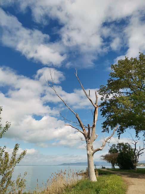 The spell of Lake Trasimeno Trekking Tour - Explore the Scenic Beauty of Lake Trasimeno in Umbria