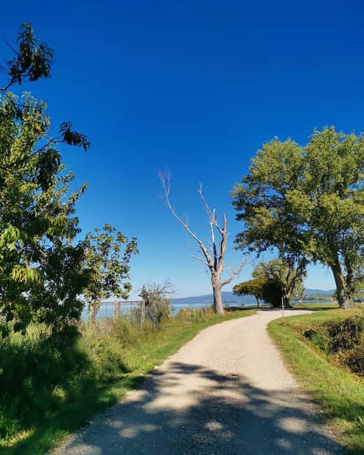 The spell of Lake Trasimeno Trekking Tour - Key Points