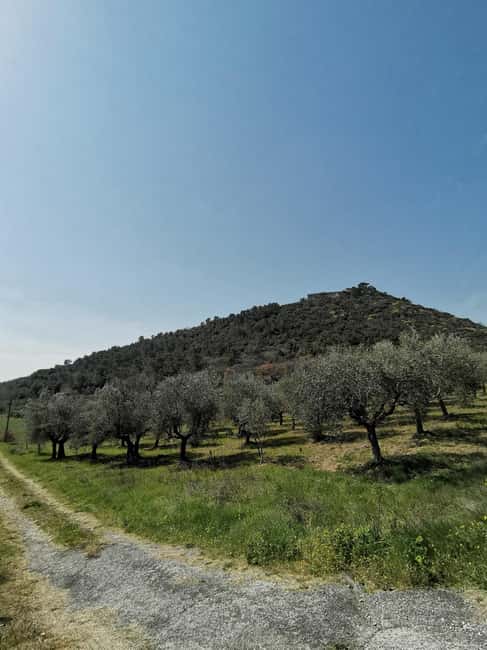 The spell of Lake Trasimeno Trekking Tour - The Experience in a Nutshell: A Relaxing Nature Escape