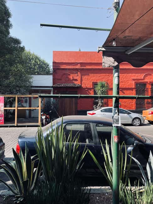 The Steps of Frida: Mexico City - Strolling Through Coyoacán’s Charms