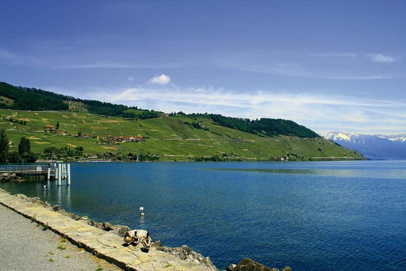 The Swiss Riviera Experience Exclusive Private Tour - The Logistics and Flexibility of the Tour