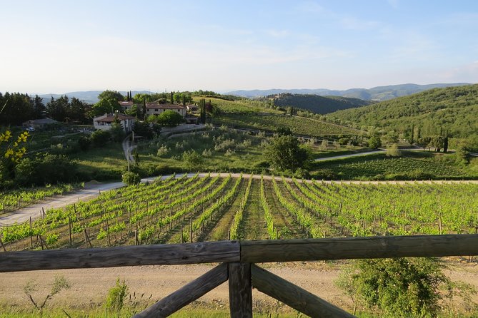 The Taste of Chianti:a Wine and Gourmet Private Tour with a truffle-based lunch - Visiting a Family-Owned Winery for Authentic Wine Tasting