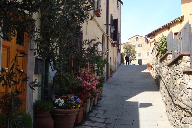 The Taste of Chianti:a Wine and Gourmet Private Tour with a truffle-based lunch - Who Will Appreciate This Tour