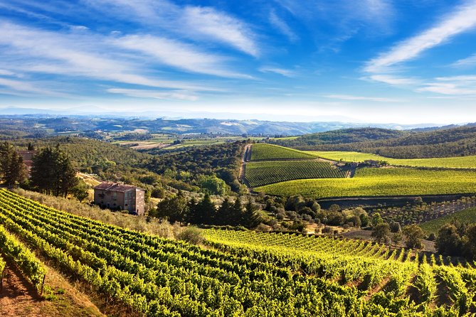 The Taste of Chianti:a Wine and Gourmet Private Tour with a truffle-based lunch - Why Choose the Taste of Chianti Private Tour