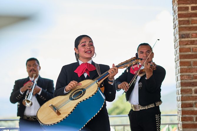 The Tequila Root - Practical Details and Accessibility