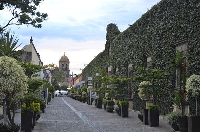The Tequila Root - What Sets This Tour Apart from Others