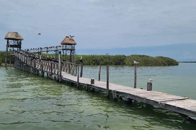 The Three Islands Tour Explore Holbox's Natural Wonders - Logistics and Group Size