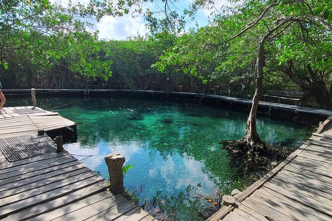 The Three Islands Tour Explore Holbox's Natural Wonders - What the Tour Includes and What to Keep in Mind