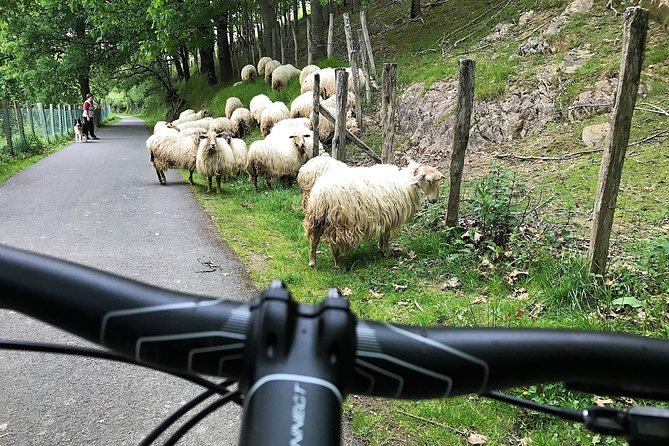 The Train Track Trail Mountain Bike Ride - Private experience - End with a Traditional Basque Picnic